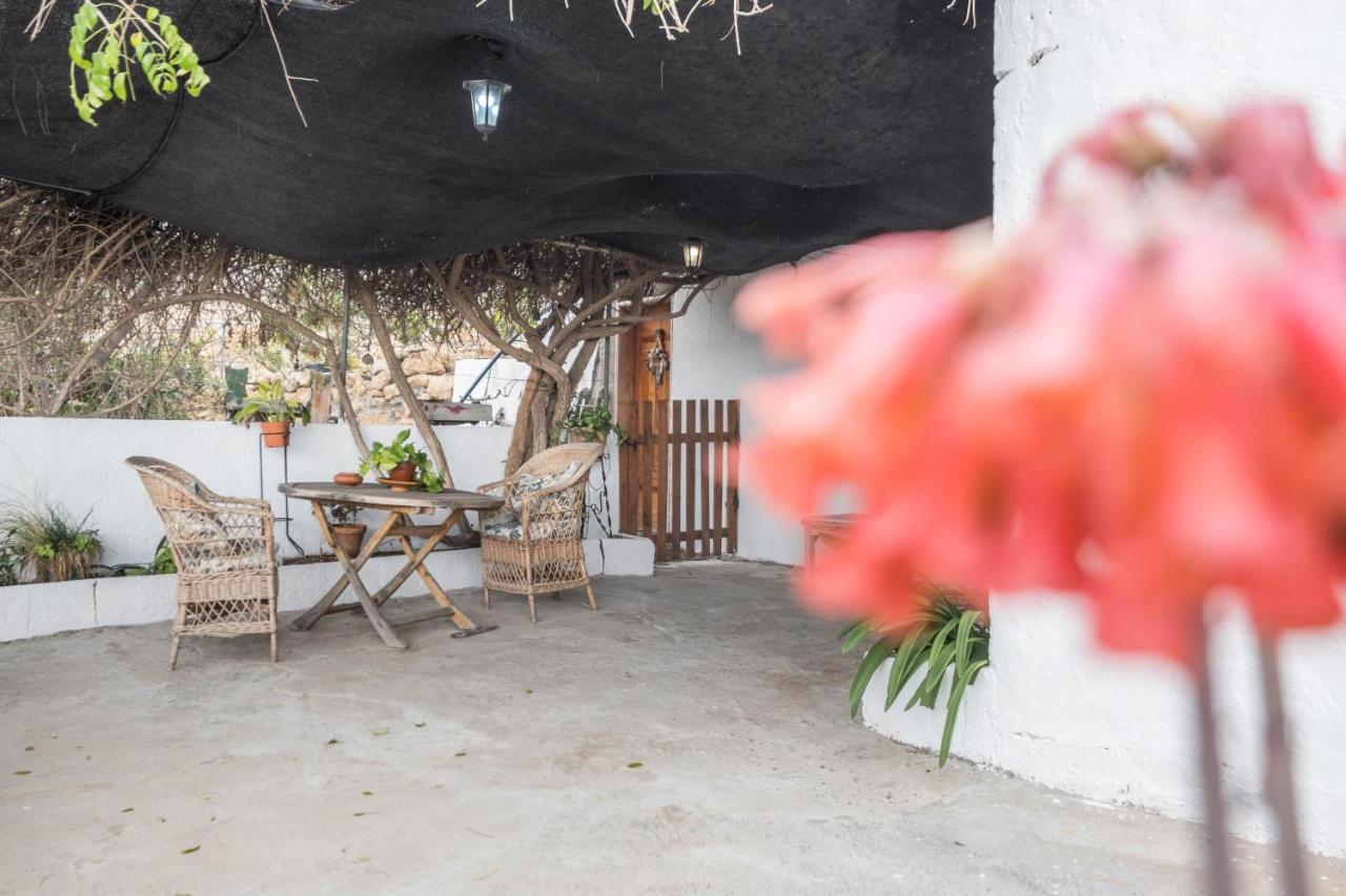 Finca Carrillo Arico Dış mekan fotoğraf